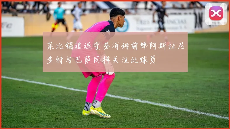 莱比锡追逐霍芬海姆前锋阿斯拉尼多特与巴萨同样关注此球员